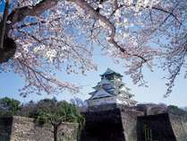 ◇　春の大阪城　◇