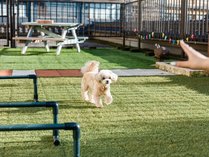 愛犬と過ごす本格旅館　月香 (福井県)