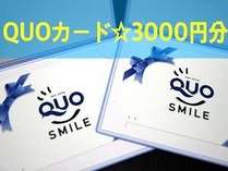 【QUOカード】3000円分