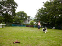 本館の前庭には、中型・大型犬用と小型犬用に区分けされた広々とした天然芝のドッグランをご用意しました。