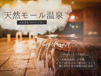 【泉質】北海道遺産にも選定されている「モール温泉」