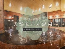 【大浴場】帯広駅前唯一の「源泉かけ流しモール温泉」