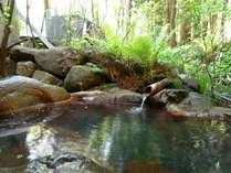露天風呂で四季折々の自然をお楽しみください。
