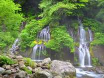 吐竜の滝です。美しい自然と爽やかな空気をお楽しみいただけます。
