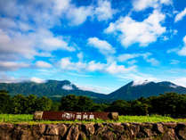 玄関から一歩踏み出すをそこには絶景が待っています。 写真