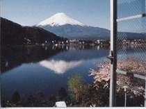 お部屋から湖と冨士山が一望