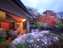 ◆庭園：ロビーから見える庭園をライトアップで華やかに