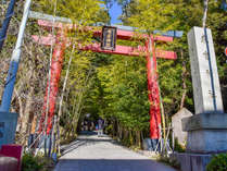 *【来宮神社】日本屈指のパワースポットは当館より歩いて3分！多くの参拝客が訪れる人気の観光地です。