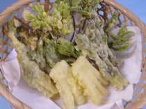 早春の味山菜の天ぷら