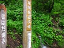 NE͂