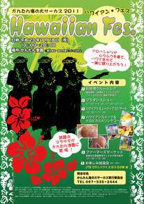 w񂽂C̑T[JXQOPPHawaiian fes.x
