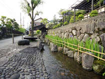 小京都を感じる水の流れる古都。緩やかな時の流れを感じる、昔を今に伝える城下町です。