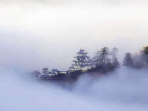 郡上八幡城の雲海。10月から３月にかけての早朝にその神秘的な姿を見せます♪