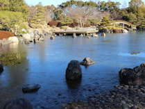 日本庭園　池の氷　冬（１月頃）