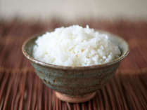 【こだわりの白ご飯】減農薬・有機質100％肥料を活用した地元産のお米です