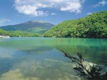 蔵王町から七ヶ宿町に向けて走ると現れる長老湖。美の意識が高まりそうです。