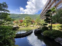 【夏の日本庭園】ポカポカ陽気に庭園散策はおすすめです。池の鯉もお出迎え致します♪