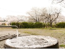 桜満開時の水風呂からの風景