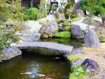 【施設】庭園内の池では魚たちが元気に過ごしています。