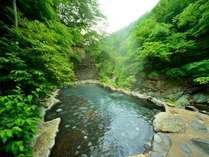 塩原温泉　渓流野天風呂と炉端料理の宿　湯守田中屋