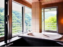 温泉内風呂付モダン特別室。四季折々の展望をお楽しみください。浴槽には福祉用の手すりを設置できます。