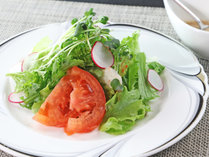 【#夕食-サラダ】那須高原で採れた野菜をふんだんに使ったサラダは瑞々しくシャキシャキとしています♪