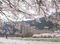 桜咲く春の旅♪のんびりと時間が流れます
