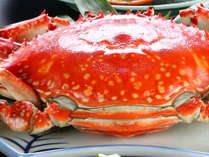 【特選コース】茹で、蒸し、焼きの３つで味わう特大サイズの竹崎蟹。脱皮蟹の天ぷらも味わえます。