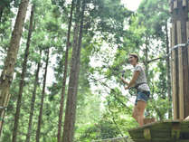 ターザニア/樹から樹へと空中を移動していくヨーロッパで人気の森林冒険施設