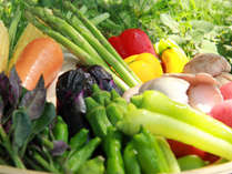 ◆旬の野菜を使用したお食事をご用意しております。