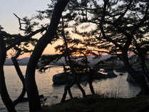 *龍の松／当館目の前、岩井崎の先端にある「龍の松」は震災復興のシンボルです！
