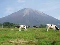 大山放牧場のみるくの里から眺める「伯耆富士大山」。みるくの里のソフトクリームは美味しいと評判！