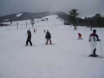 西日本最大規模の大山スキー場は初級者から上級者まで楽しめます。