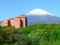 新緑と富士山