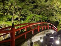 【新緑の河鹿橋】美しい緑に朱色の橋のコントラストが見事。夜にはライトアップも。