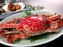 【海鮮会席】ワタリガニは濃厚な味わいが特徴です！松葉ガニとは違う味わいをご賞味あれ♪