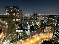 新宿摩天楼の風景はきっと思い出に残るはず。