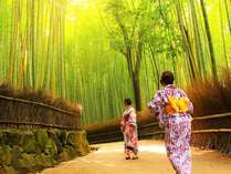 夏の京都の様子
