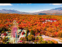 紅葉に染まる北軽井沢。例年の見頃は10月中旬～下旬。軽井沢おもちゃ王国の観覧車から見る景色もオススメ！