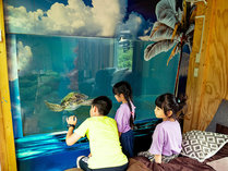 ・【ウミガメコテージ】海亀と一緒に過ごす特別なひととき