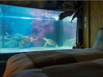 ウミガメコテージ：電気を消して、ウミガメとの幻想的な空間をお楽しみください♪