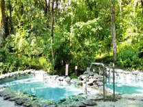 開放感あふれる緑に囲まれた露天風呂。38℃のぬる湯と42℃のお風呂をご用意しております。