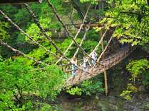 *【周辺観光】祖谷のかずら橋　-　提供：徳島県観光協会