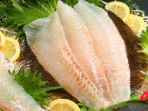 ＊旬魚の活き造りは、ぎゅっと締まった身と噛めば噛むほど広がる甘み、新鮮だからこそ楽しめる味です。