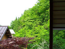 *和室からは新緑や紅葉、一面の銀世界など四季折々の景色が楽しめます。