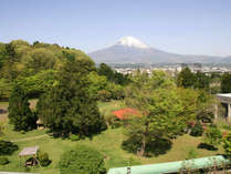 ・屋上から富士山が見えます