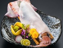 【別注料理】赤イカの姿造り（3人前サイズ）