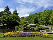 木々のグリーンに映え、鮮やかなコントラストを飾る富士山