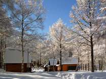 冬のどんぐり村。雪にすっぽりと包まれて、静寂の時が流れます。