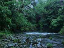 みやこわすれの宿　こおろぎ楼 (石川県)